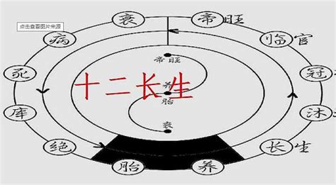 十长生|八字十二长生含义是什么？大运十二长生的用法和详解。